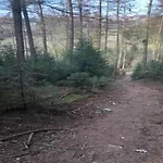 Bei Mit Terrasse Lägenhet Willingen (Upland)