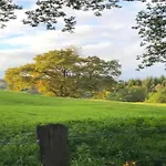 Bei Mit Terrasse Willingen (Upland)