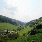Διαμέρισμα Bei Mit Terrasse Willingen (Upland)