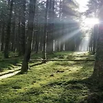 Διαμέρισμα Bei Mit Terrasse Willingen (Upland)