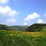 Bei Mit Terrasse Διαμέρισμα *