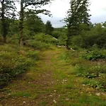 Bei Mit Terrasse Διαμέρισμα Willingen (Upland)