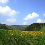 Bei Mit Terrasse Willingen (Upland)