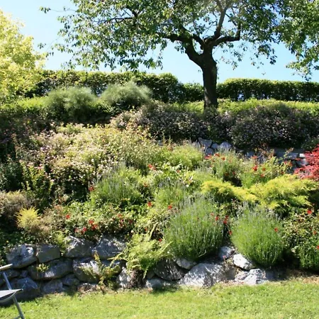 Appartement Bei Mit Terrasse Willingen (Upland)