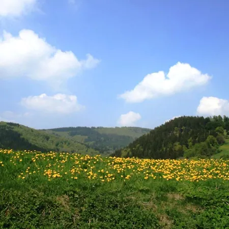 Bei Mit Terrasse 公寓