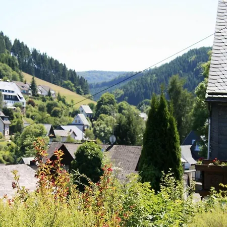 Apartment Cosy In Schwalefeld Near Willingen With Private Terrace Willingen (Upland)