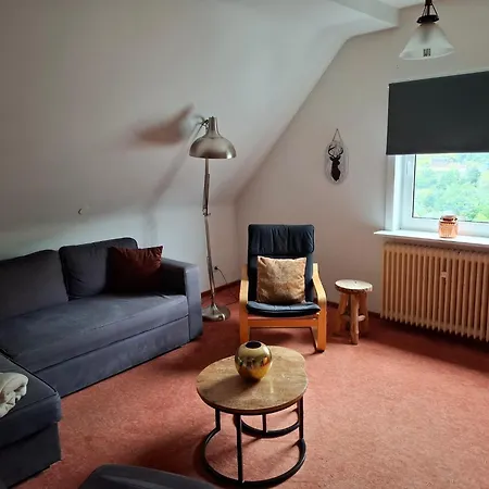 Cosy In Schwalefeld Near Willingen With Private Terrace Willingen (Upland)