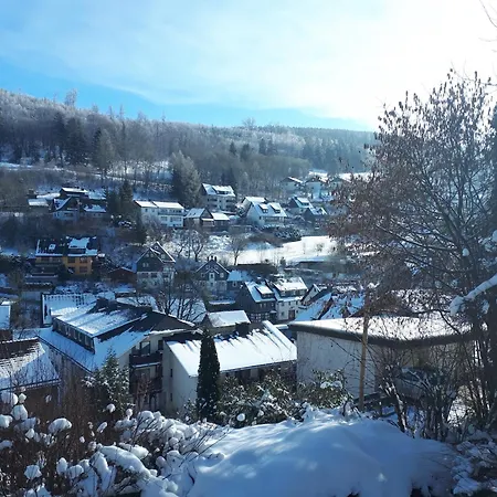 Cosy In Schwalefeld Near Willingen With Private Terrace