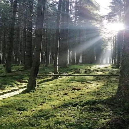 Bei Mit Terrasse 公寓 *