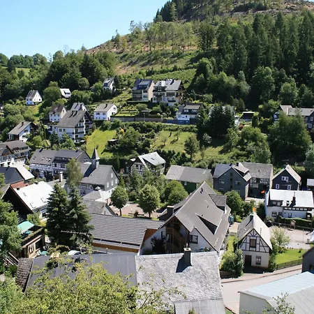 Apartment Cosy In Schwalefeld Near Willingen With Private Terrace Willingen (Upland)