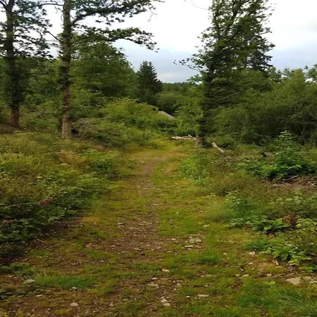 Bei Mit Terrasse Appartement