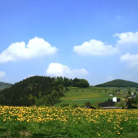 Cosy In Schwalefeld Near Willingen With Private Terrace *