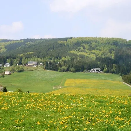 Cosy In Schwalefeld Near Willingen With Private Terrace * Willingen (Upland)