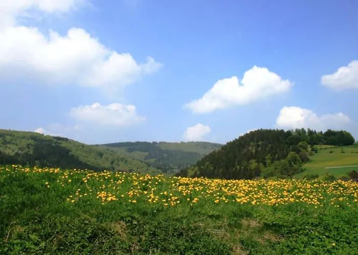 Bei Mit Terrasse Апартаменты