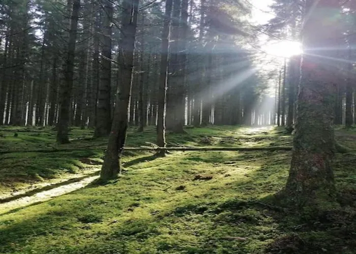 Bei Mit Terrasse Апартаменты *