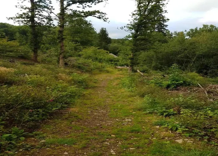 Bei Mit Terrasse Апартаменты